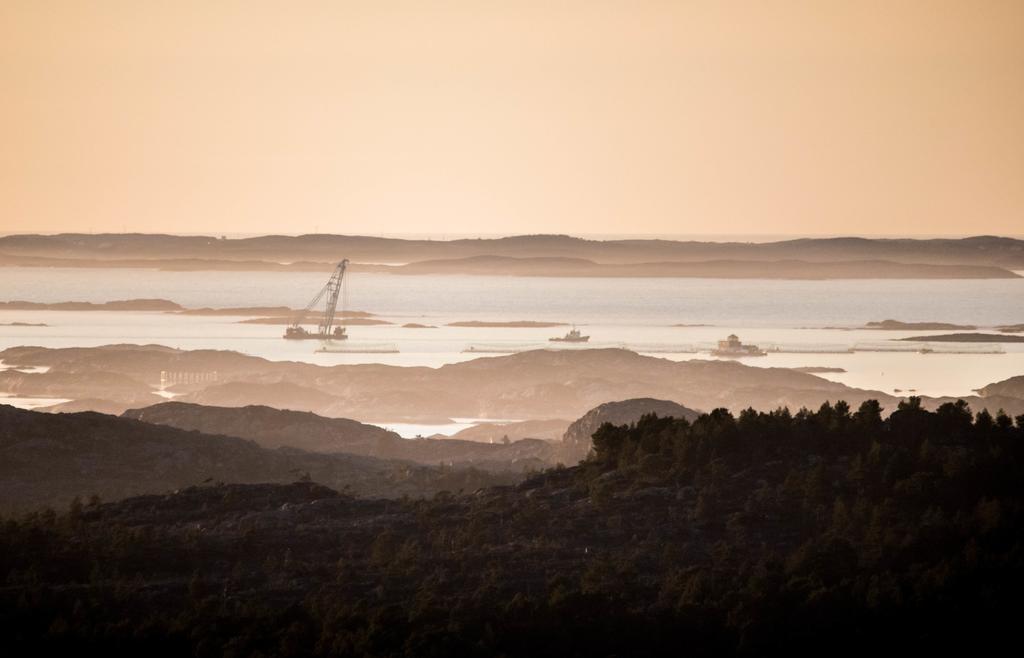 Dolmsundet Hotell Hitra Melandsjøen Exteriör bild